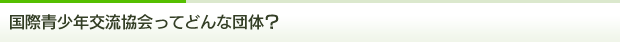 国際青少年交流協会ってどんな団体？